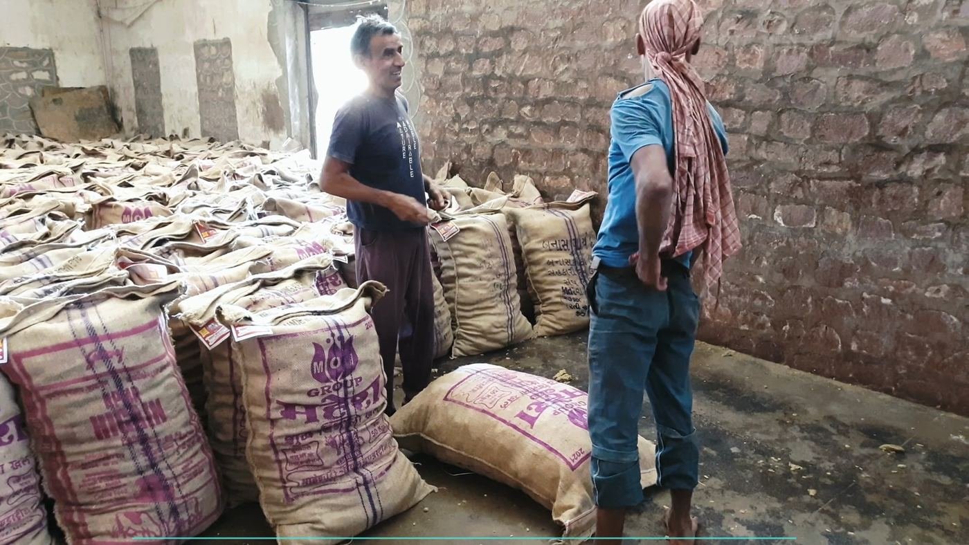 50 किलो की बोरियों में भरी कपासिया खल, गोदाम — नागौर